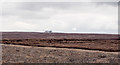 NZ0533 : Mown heather on Pikeston Fell by Trevor Littlewood