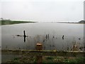 TF3500 : April flooding - The Nene Washes by Richard Humphrey