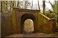 SY1090 : Arch Bridge on Disused Railway near Bowd, Devon by Andrew Tryon