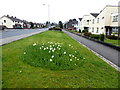 H4672 : Newly cut grass along Hospital Road by Kenneth  Allen