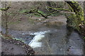 ST1388 : Weir on Nant Aber by M J Roscoe