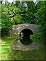 SP4877 : Newbold Tunnel in Warwickshire by Roger  D Kidd