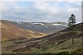 NS9012 : Snow patches on Lowther Hills by Alan O'Dowd