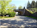 TQ1730 : Railway Bridge, Chesworth Lane by PAUL FARMER