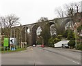 SW8161 : Railway viaduct above Edgcumbe Avenue by Roger Cornfoot