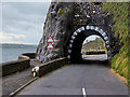 D3905 : The Black Arch on the A2 Coast Road by David Dixon