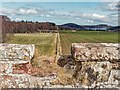 NH6352 : Overbridge on the former Black Isle Railway by valenta