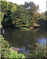 SP2965 : Fishing peg, River Avon, southeast Warwick by Robin Stott