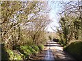 SX2583 : Bridge over River Inny at Trewen Mill by David Smith