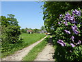 SP2403 : Derelict farm buildings on road from Filkins to Langford by Vieve Forward