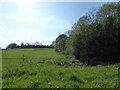 ST9998 : Course of Thames & Severn Canal near Smerrill Farm by Vieve Forward