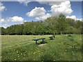 SJ8545 : Benches in Lyme Valley Park by Jonathan Hutchins