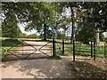 SJ8640 : Metal gates in Trentham Park by Jonathan Hutchins