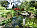 TQ2752 : The Japanese Garden, Gatton Park by Marathon