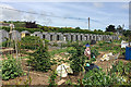 SX9073 : Allotments at Michaels Field, Bishopsteignton by Robin Stott