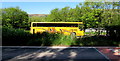 SO1723 : Yellow Williams coach in Cwmdu, Powys by Jaggery