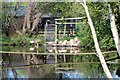 SC3694 : Chilean Flamingo point at the Curraghs Wildlife Park by Richard Hoare