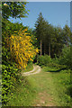 SX4766 : Path junction, Buckland Abbey Estate by Derek Harper