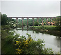 NZ8909 : Larpool viaduct, near Whitby by J.Hannan