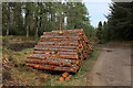 NH7579 : Pile of Logs in Glen Aldie by Chris Heaton