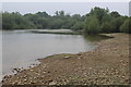 SO3300 : Shore of Llandegfedd Reservoir by M J Roscoe