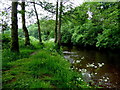 H4672 : Camowen River, Mullaghmore by Kenneth  Allen