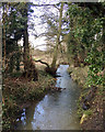 SP1869 : Kingswood Brook above Dick's Lane by Robin Stott