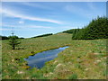 NX6594 : Pool by the Southern Upland Way, Manquhill Hill by Alan O'Dowd