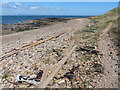 NT4885 : Timber on the beach at West Links by Mat Fascione