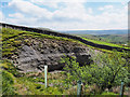 NY8603 : Rock exposure alongside Pryclose Gutter by Trevor Littlewood