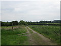 SE3540 : Footpath towards Scarcroft Grange by John Slater