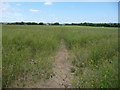 SE3620 : Public footpath heading east to the A655 by Christine Johnstone