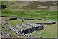 NT2231 : Sheepfold, Glenrath Burn by Jim Barton