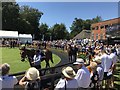 TL6161 : Picking a winner at the July Course, Newmarket by Richard Humphrey