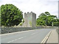 D3115 : Glenarm, tower by Mike Faherty