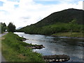 NH4554 : Fishing on the River Conon by David Purchase