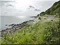 D2925 : Glenariff, coastline by Mike Faherty