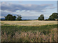 NH6944 : Fields by Inverness Campus by Craig Wallace