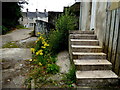 H4572 : Weeds and steps, "Tintown", Omagh by Kenneth  Allen