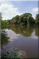 TL1703 : Broad Colney Lakes Nature Reserve by Glyn Baker