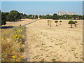 TQ3377 : Burgess Park, summer 2018 by Malc McDonald