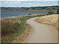 SP7869 : Path alongside Pitsford Water, Northamptonshire by Malc McDonald