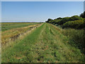 TL2285 : West bank of Woodwalton Fen by Hugh Venables