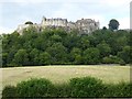 NS7893 : Looking towards Stirling Castle from the A811 by David Gearing