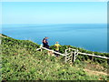 SN0141 : Uwchben Pwll Glas / Above Pwll Glas by Alan Richards