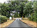 TL8424 : Marks Hall Road, Coggeshall by Geographer