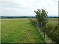 SD7755 : Footpath along the county boundary near Tosside by Humphrey Bolton