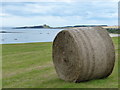 NU2424 : Bale next to the Northumberland Coast Path by Mat Fascione