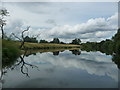 SE3766 : The River Ure, looking upstream [locally north-west] by Christine Johnstone