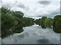 SE3666 : The River Ure, looking upstream [locally west] by Christine Johnstone